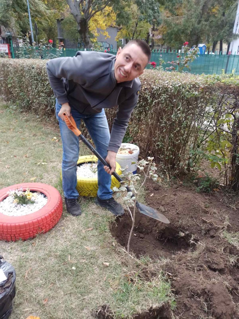 Родител засажда канадски клен в двора на ДГ „Космонавт“